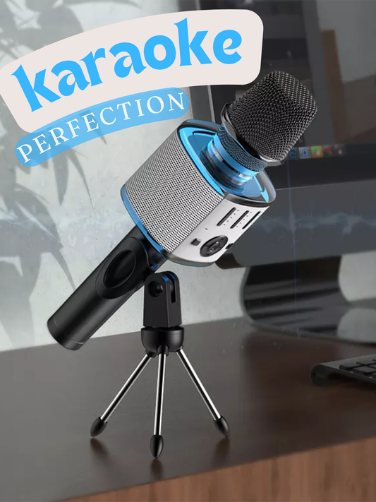 Karaoke Microphone