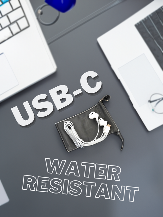 Magnetic USB-C Earphone