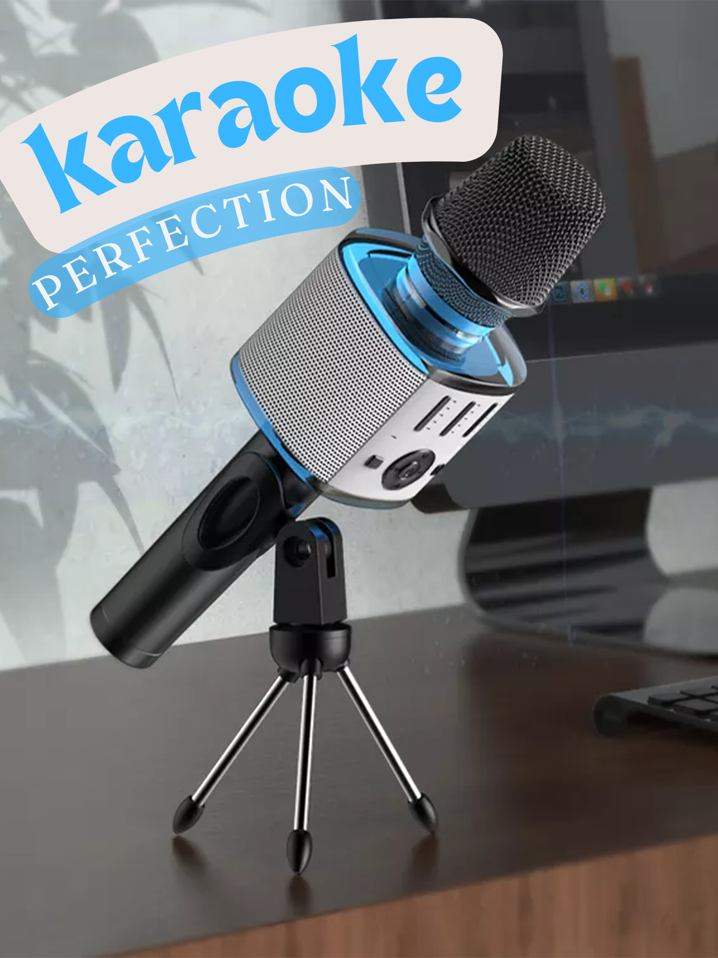 Karaoke Microphone